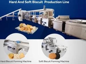 Automatic Small Soft Biscuit Making Machine with Competitive Price
