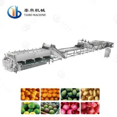 50-500g Vegetable Potato Washing Waxing Drying Diameter Sorting Line for Factory