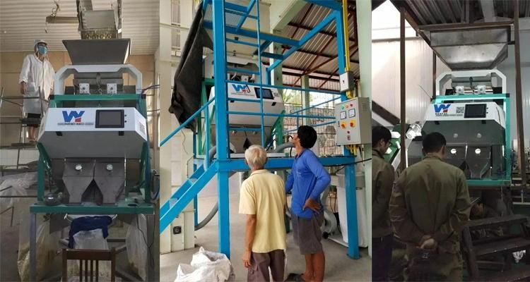 5 Chutes 320 Channels Thailand Rice Color Sorter Machine From Wenyao China