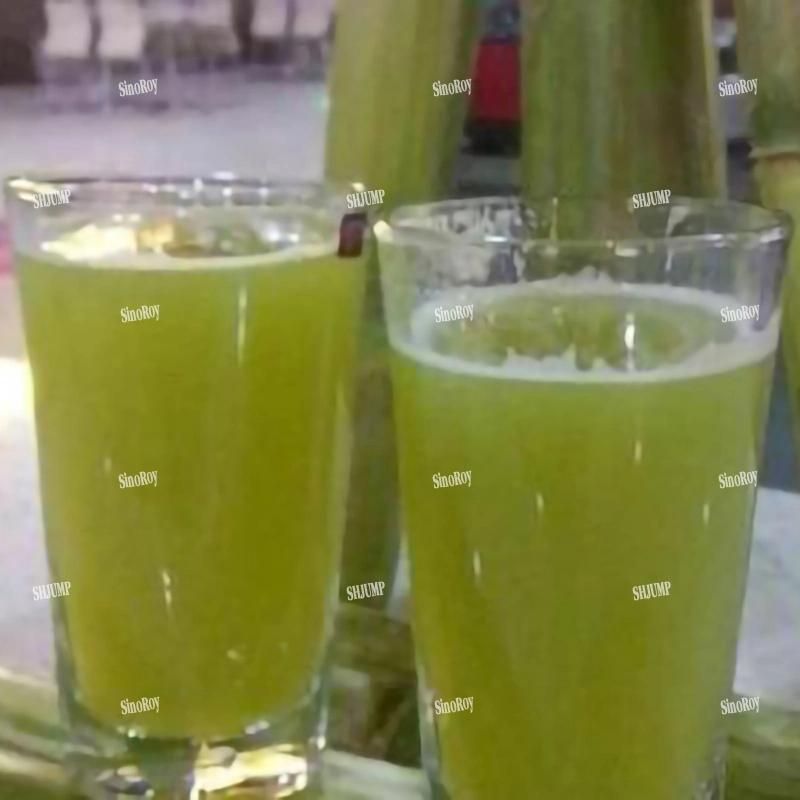 Sugarcane Juice Puree Concentrate Processing Production Line