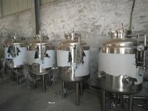 Stainless Steel Beer Equipment 100 Litre 500 Liter Fermentation Tanks for Sale