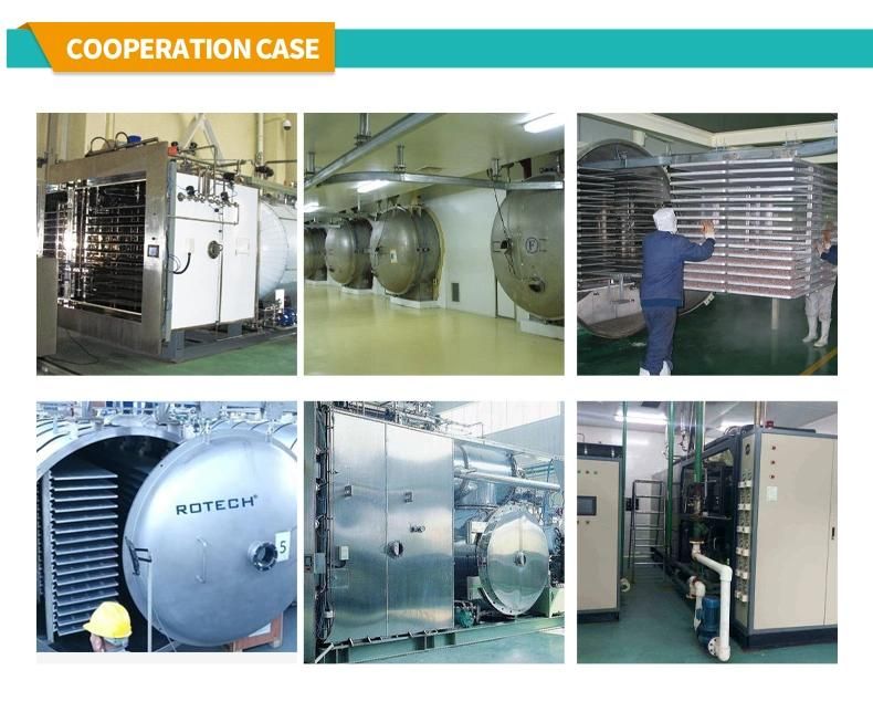 Fruit Drying Equipment Vacuum Freeze Dryer for Pharmaceutical with Silicon Oil Heating