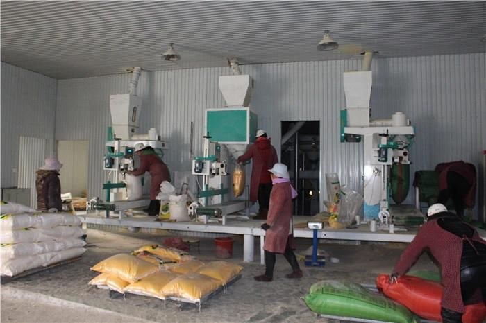 Complete Set of Maize /Corn/Cassava/Sima Flour Milling Machine (10-250TPD)