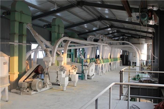 Africa Market Maize Flour Corn Grits Roller Mill Milling Machine Equipment