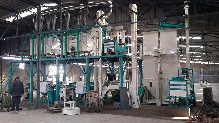 30t Small Scale Maize Flour Roller Mill Complete Plant