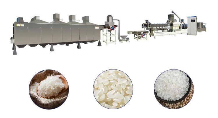 High Speed Supplier Nutrition Rice Making Extruder Zh85 Nutrition Rice Processing Line