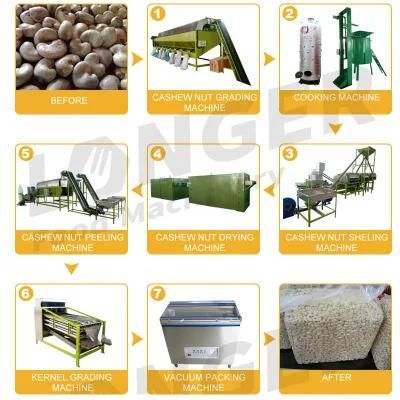 Raw Cashew Nut Dryer Size Grading Cashew Kernel Peeling Machine