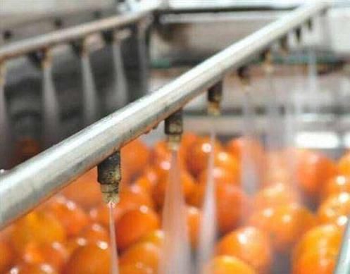 Fruit and Vegetable Basket Washing Machine Washer