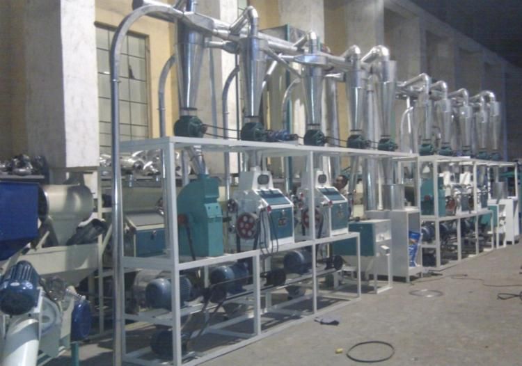 5ton Per Day Corn Flour Machine