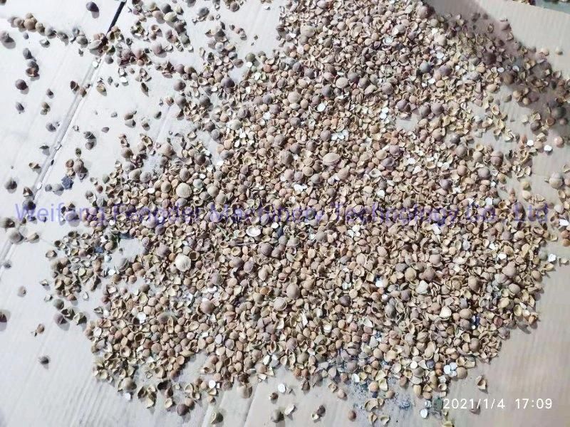 Gelgoog Apricot Kernel Cracking Cracker Peeling Machine Almond/Hazelnut Sheller Line