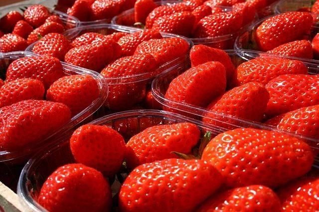 Washing Machinery for Fruit Automatic Strawberry Cleaning Machine