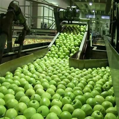 1-3 Tons Full Automatic Complete High Profit and Low Price Apple Puree Juice Processing ...