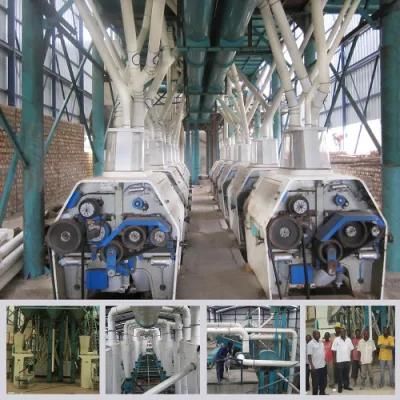 Quality Flour Mill Wheat Milling Machine (50t 100t 200t)