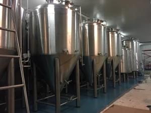 Craft Beer Brewing Equipment 30hl Industrial Fermentation Unitank for Microbrewery