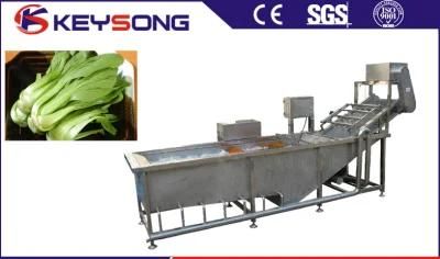 Bubble Fruit Washing Machine|Bubble Vegetable Washing Machine