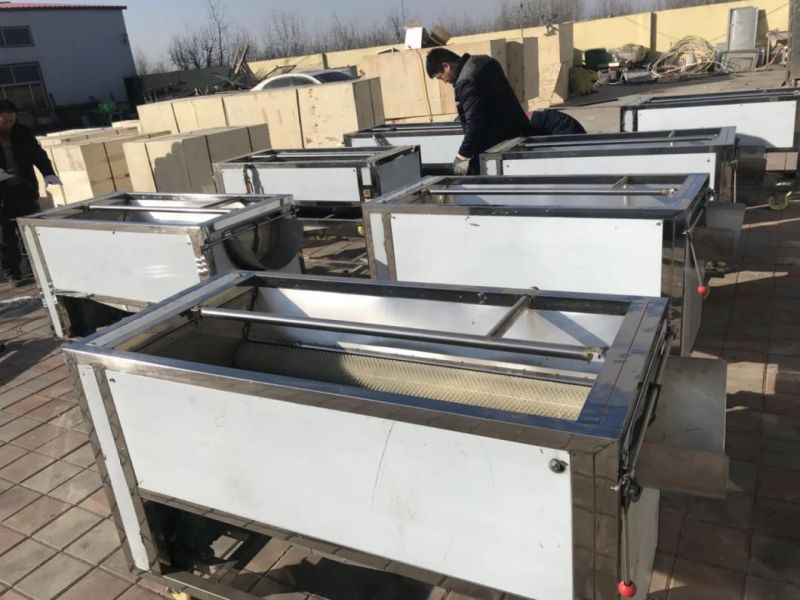 China Supplier Red Dates Dry Cleaning Machine and Fruit Washing Machine