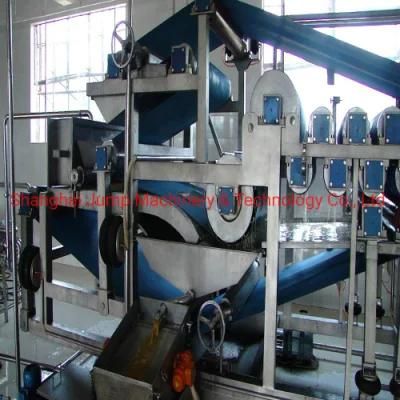 10ton/H Capacity Lemon Juice Production Line Machine