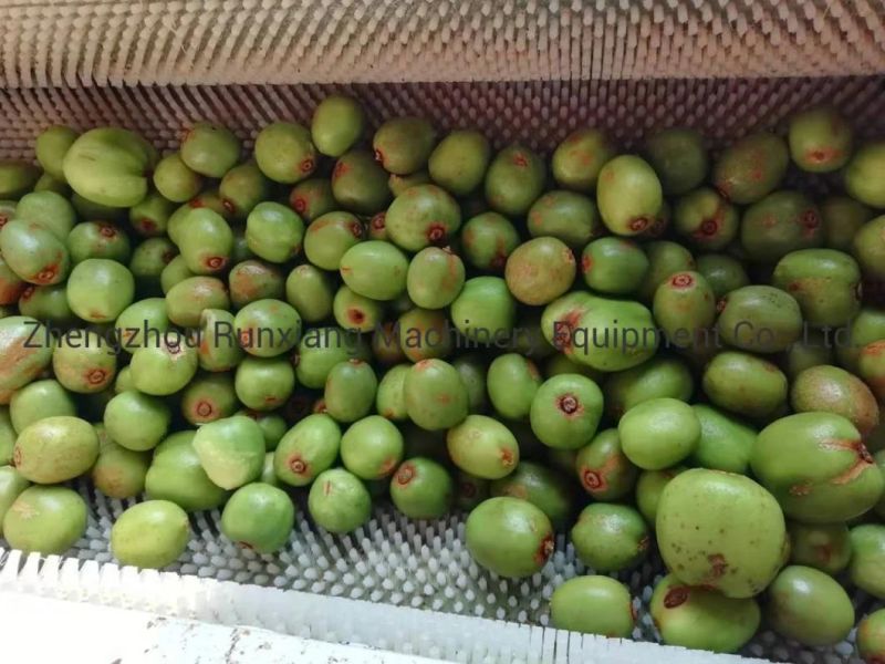 Industrial Fresh Vegetable Fruits Cleaning Drying Processing Dry Dates Washing Machine