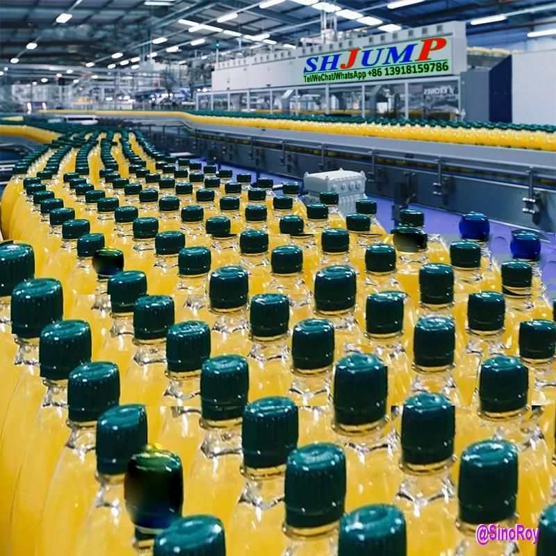 Papaya Juice Puree Jam Processing Line and Machines|Papaya Production Line and Machines|Papaya Production Plant and Machines