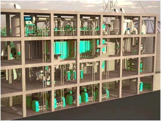 Coarse Cereals Flour Milling Line Project
