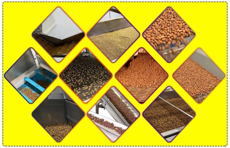 Automatic Fish Feed Pet Food Application Machines Manufacturer Plant Big Capacity