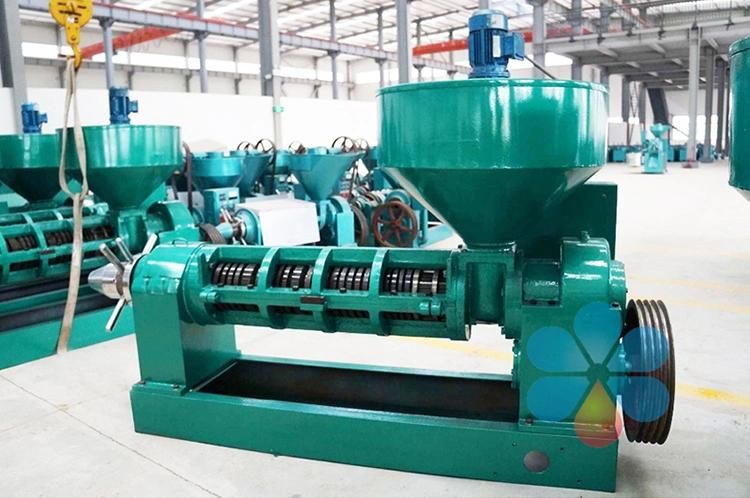 New Huatai Brand Peanut Oil Making Machine Plant for Pressing and Refinery