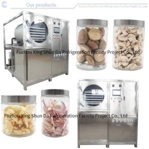 Small Pet/Cat/Wet and Dry Dog Food Machine Price/Production Line Freeze Dryer
