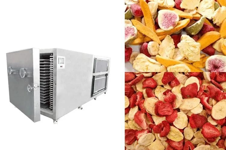 Lyophilization Cool Freezing Lyophilizer Food Fruit Vacuum Freeze Dryer