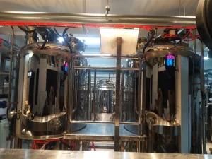 300L Small Brewhouse with SUS304 and Assorted Fermenters for Pubs