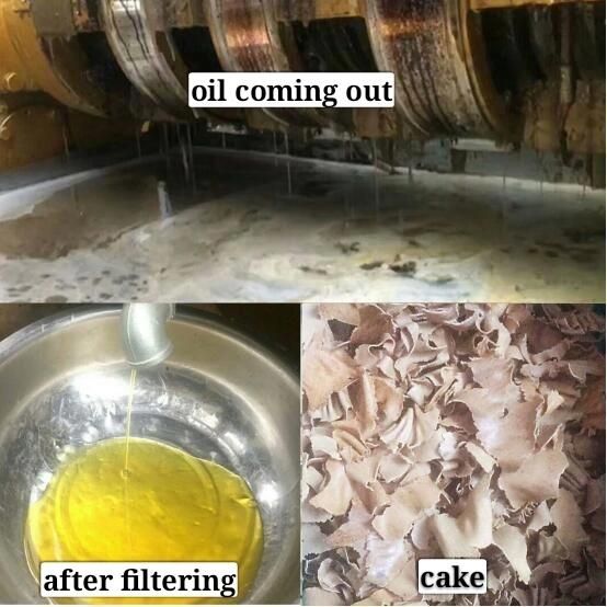 Cocoa Butter Oil Expeller