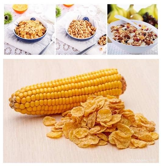 Hot Sale Automatic Breakfast Cereal Corn Sticks Equipment