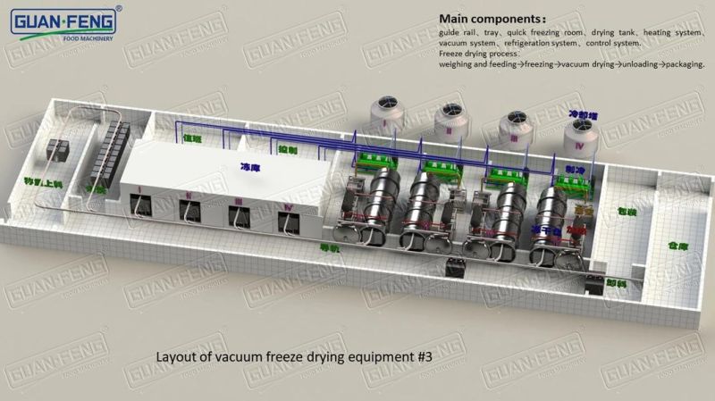 100m2 Fully Stainless Steel Food Vacuum Freeze Dryer Price