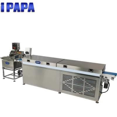 Cacao Enrobing Machinery with Cooling Tunnel