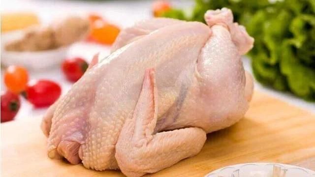 Commercial Poultry Machinery Stainless Steel Chicken Plucker Machine