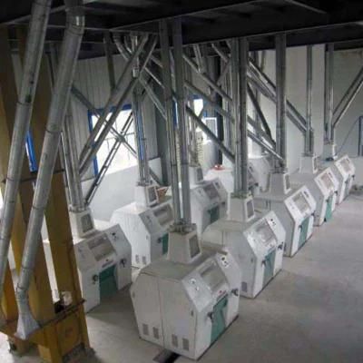 Fully Automatic 100t Per Day Wheat Flour Mill
