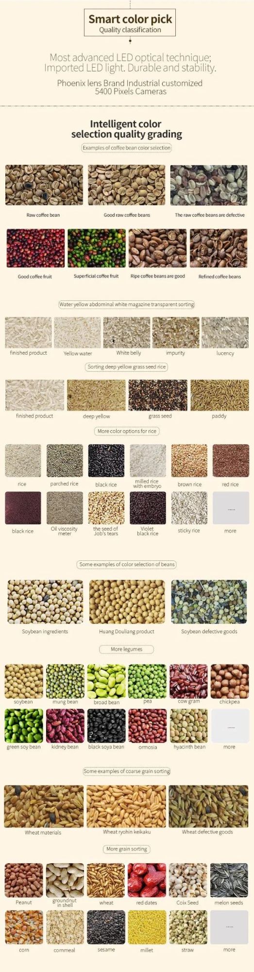 Factory Supplier Intelligent Coffee Bean Peanut Rice Color Sorter