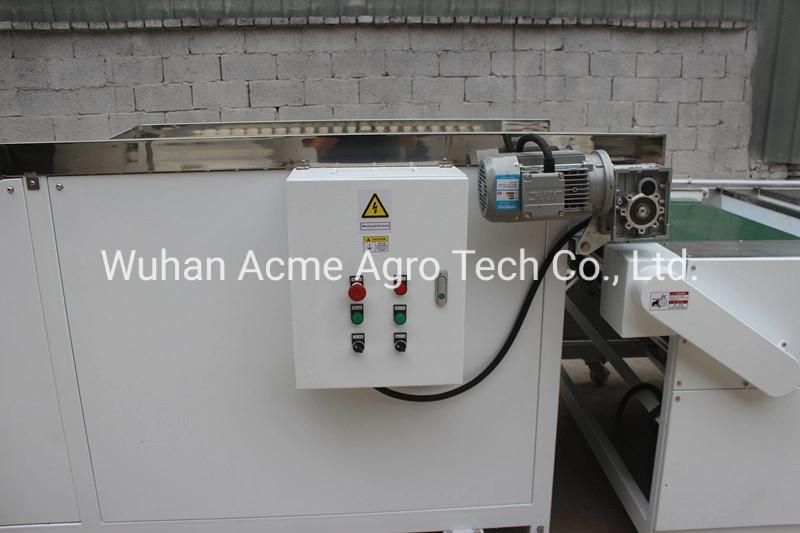 Stainless Steel Potato Grader Used to Vegetable and Potato Grading Machine Potato Sorter for Sale