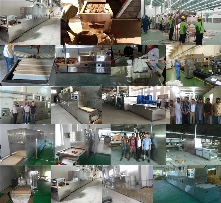 Microwave Sterilization Drying Machine