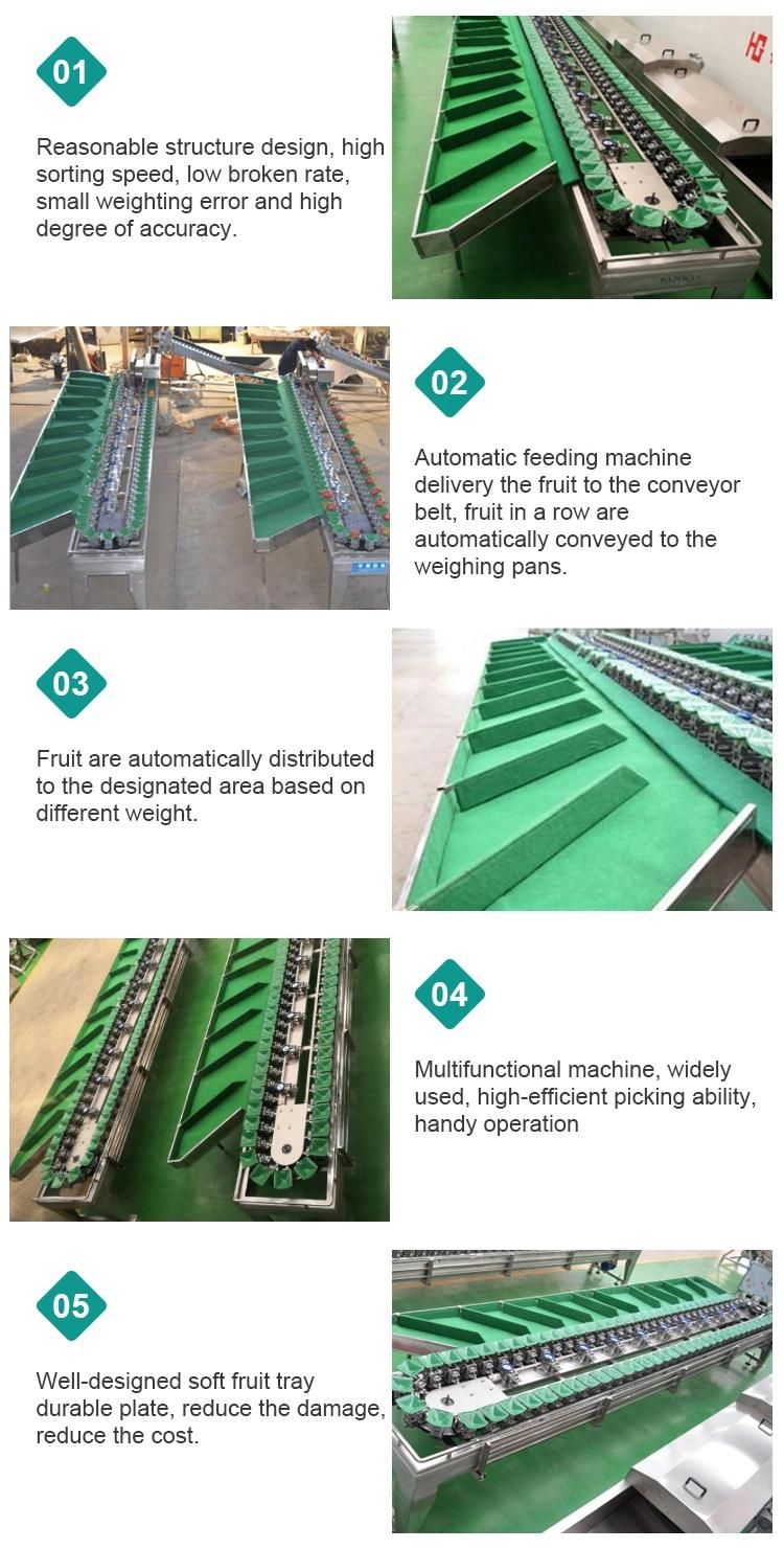 Fruits Apple Potato Onion Tomato Peach Grading Sorting Machine
