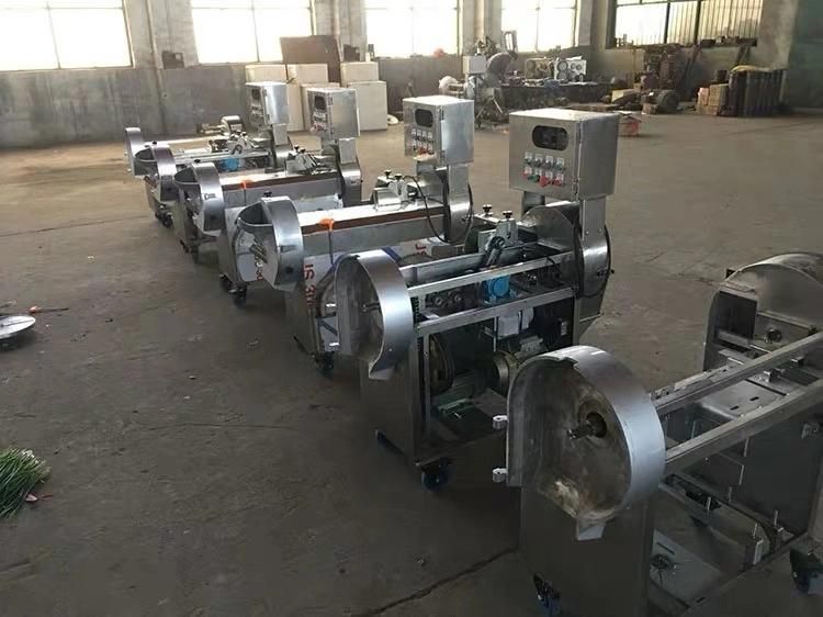 Double Head Frequency Converter Green Bean Vegetable Cutting Machine Price