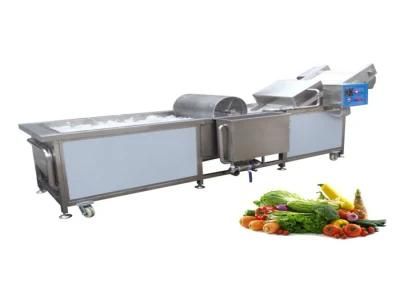 Industrial Vegetable Fruit Air Bubble Washer Production Machinery