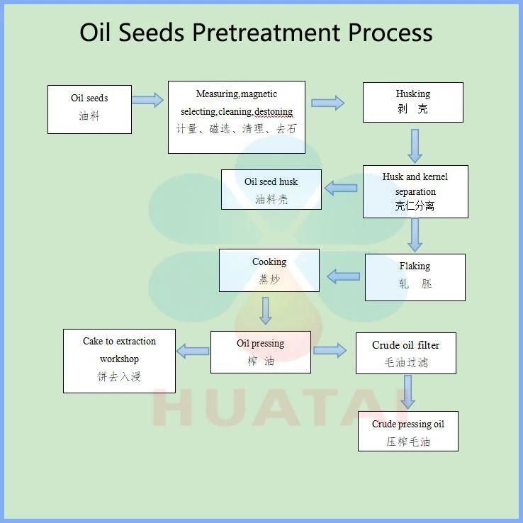 Mustard Oil Cold Press Palm Screw Press Oil Expeller Price Oil Extractor Cold Press