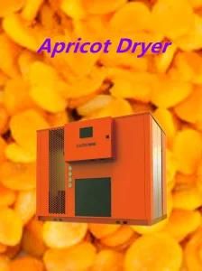 China Manufacturer Fruit Drying Machine/ Fruit Dehumidifier/Apricot Dryer