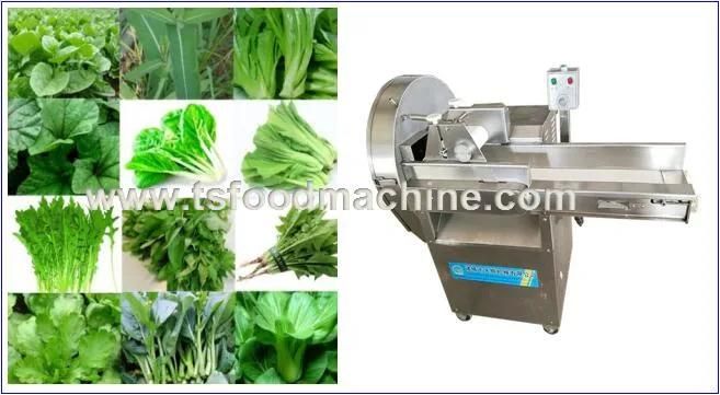 Hotel Vegetable Cutter and Celery Cutting Machine