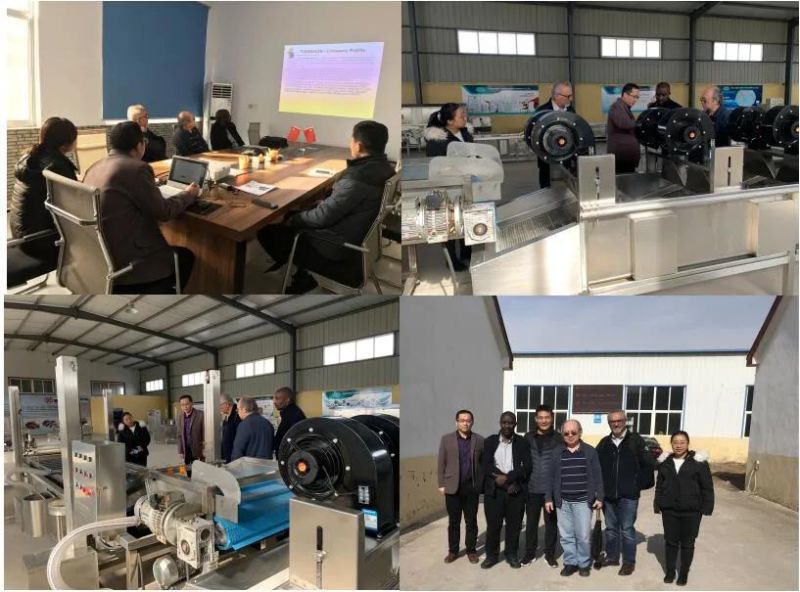Industrial Automatic Rape Vegetable Processing Line