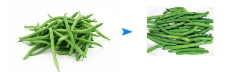 Green Beans Heads and Ends Cutting Equipment with High Capacity