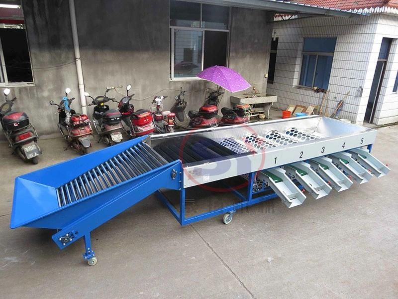 3-6 Grades Vegetable Sorting Grading Machine for Cherry/Tomato/Cirtus