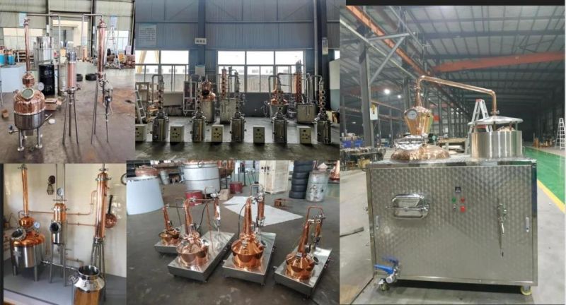 Home DIY 100L 200L 300L Customized Spirits Gin Rum Fruit Spirits Distillation Plant