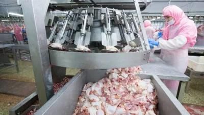 Chicken Thigh Debone Machine for Slaughterhouse or Chicken Processing Line