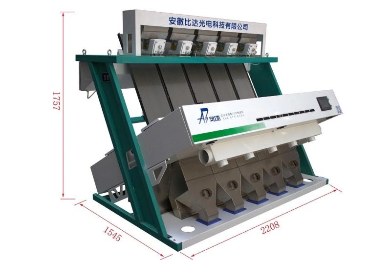 Cheapest Food Processing Machinery Garlic Selecting Machine Garlic Color Sorter